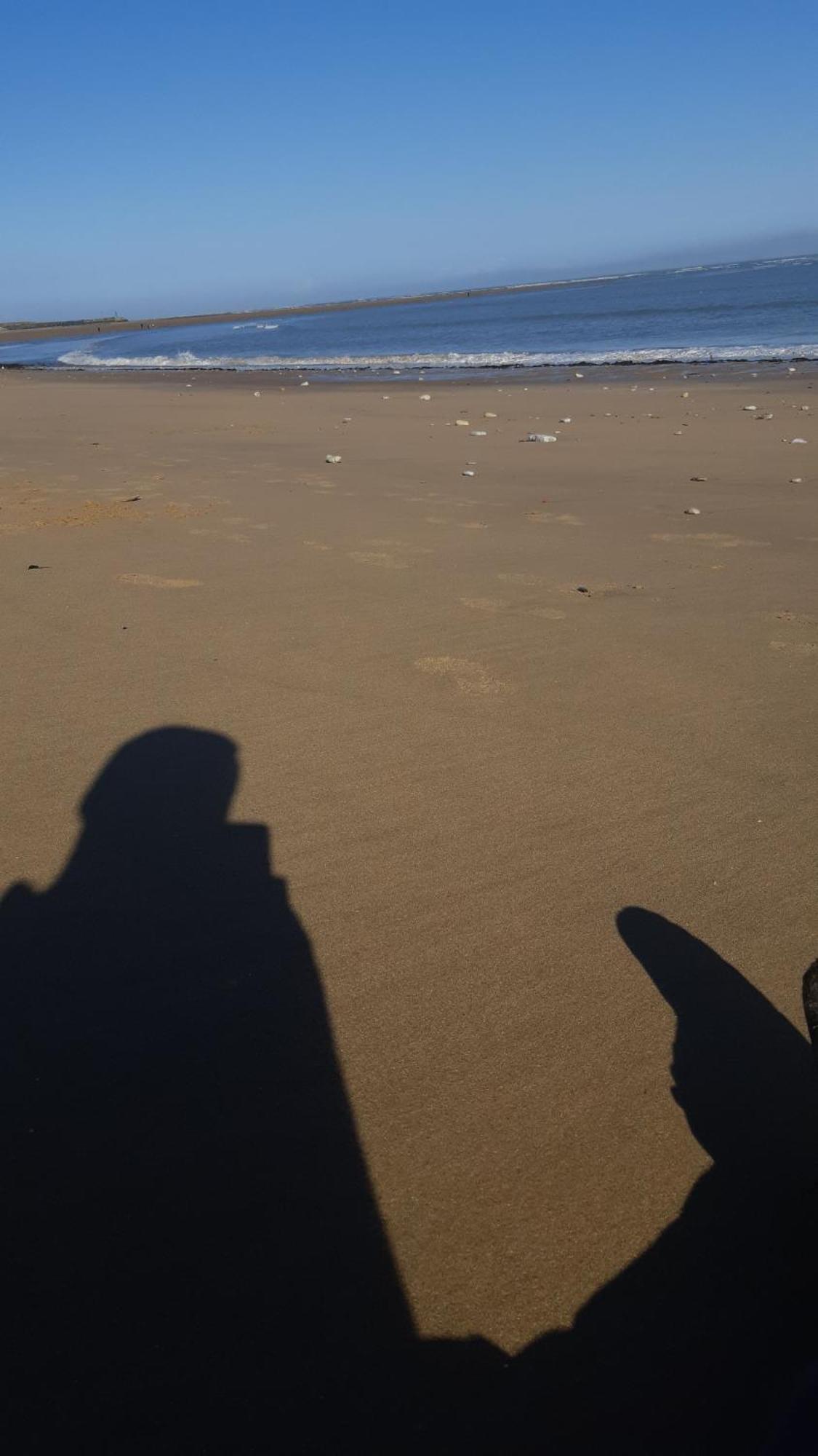 Maison A 8 Min A Pied De La Plage Avec Jardin Clos Et Ombrage サン・ジョルジュ・ドレロン エクステリア 写真