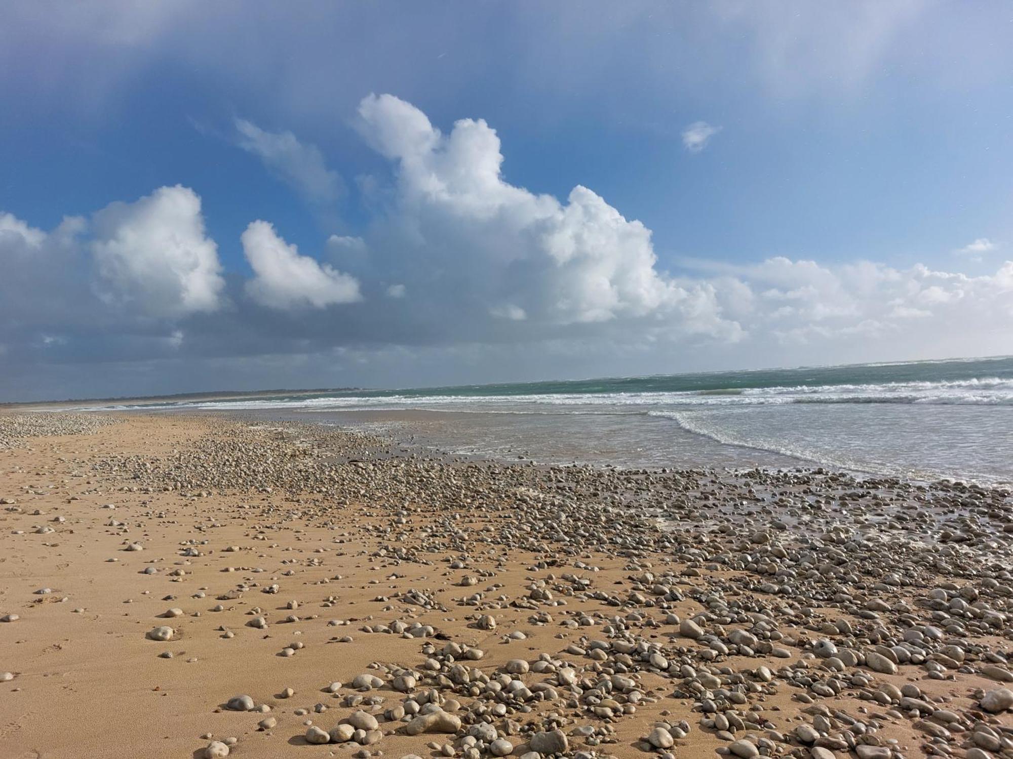 Maison A 8 Min A Pied De La Plage Avec Jardin Clos Et Ombrage サン・ジョルジュ・ドレロン エクステリア 写真