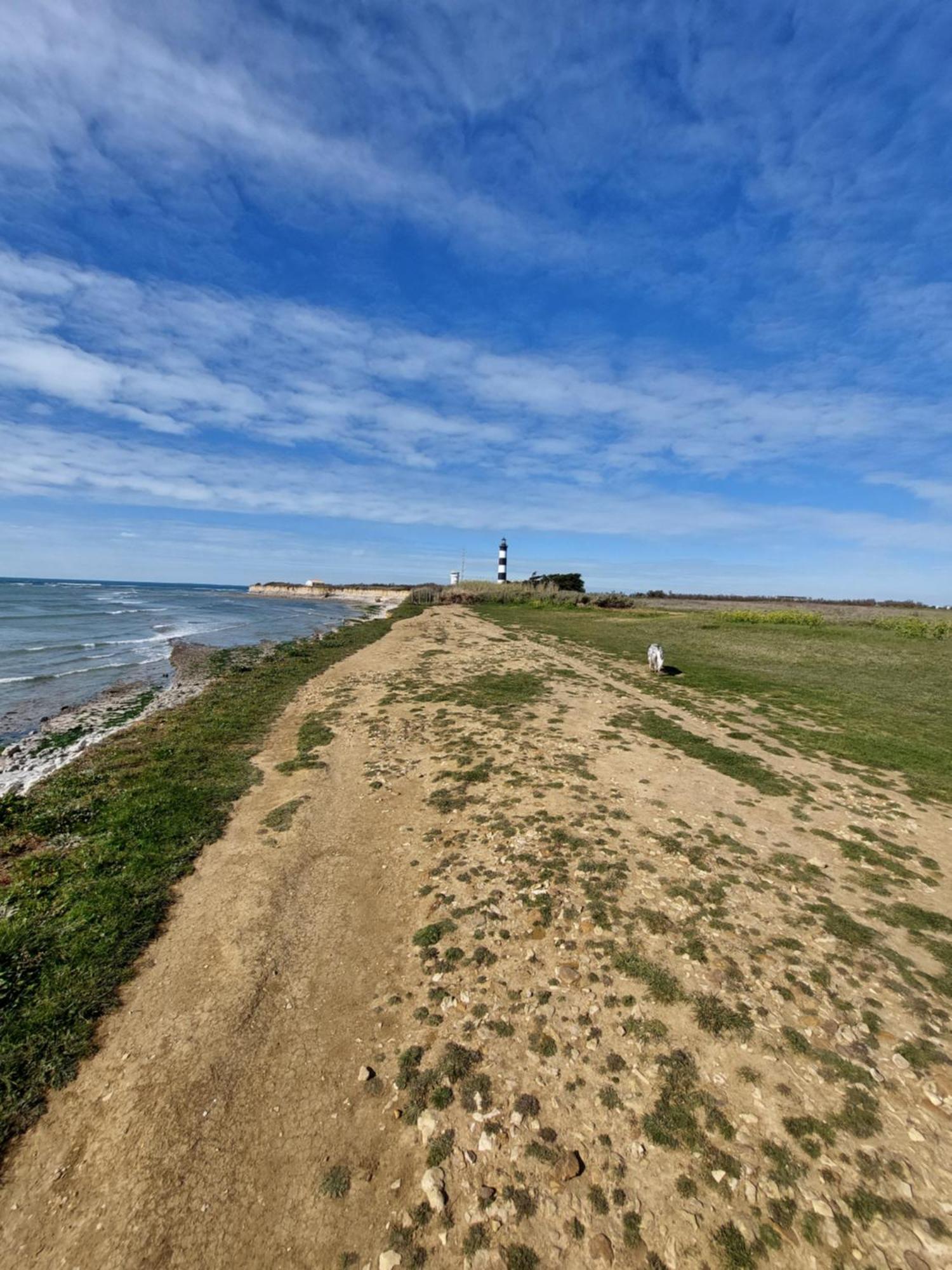 Maison A 8 Min A Pied De La Plage Avec Jardin Clos Et Ombrage サン・ジョルジュ・ドレロン エクステリア 写真